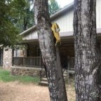 Banana Peel Triggers Feelings Of Racism, Greek Life Retreat Cancelled